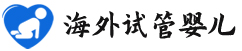 {鹤岗代怀双胞胎}
